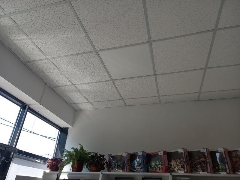 Приміщення на ринку - <ro>Изображение</ro><ru>Изображение</ru> #5, <ru>Объявление</ru> #1747059