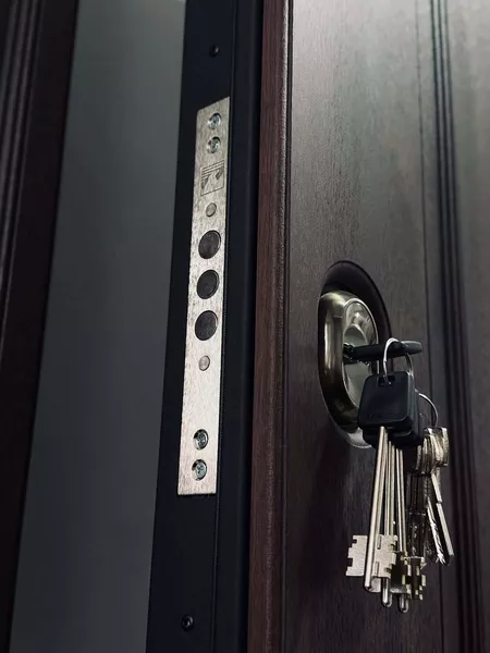 Купить двери входные готовые или изготовить в Кривом Роге и по всей Укриине - <ro>Изображение</ro><ru>Изображение</ru> #9, <ru>Объявление</ru> #1752601